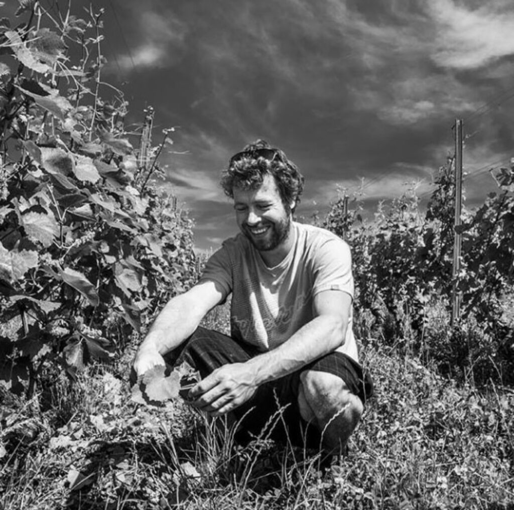 damien mermoud vigneron soral geneve